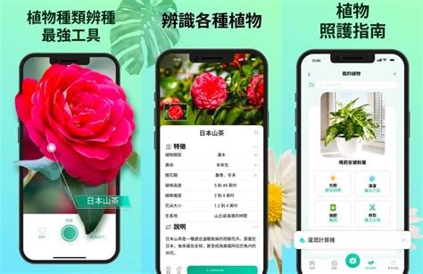 免費植物app